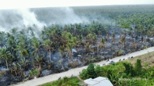 Kebakaran Lahan Gambut Meluas di Batang Tuaka, Tim Gabungan Dikerahkan