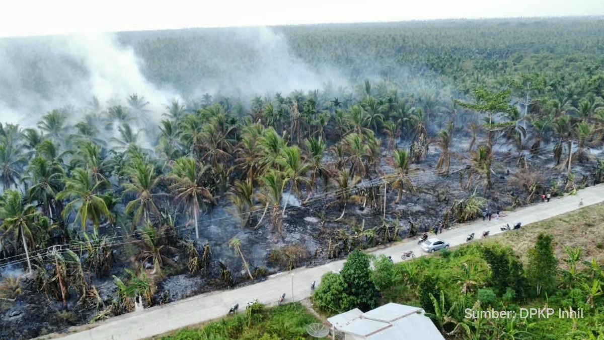 Kebakaran Lahan Gambut Meluas di Batang Tuaka, Tim Gabungan Dikerahkan