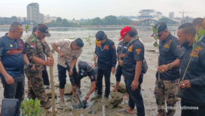 Aksi penanaman mangrove oleh relawan di pesisir Tanjung Uma, Batam