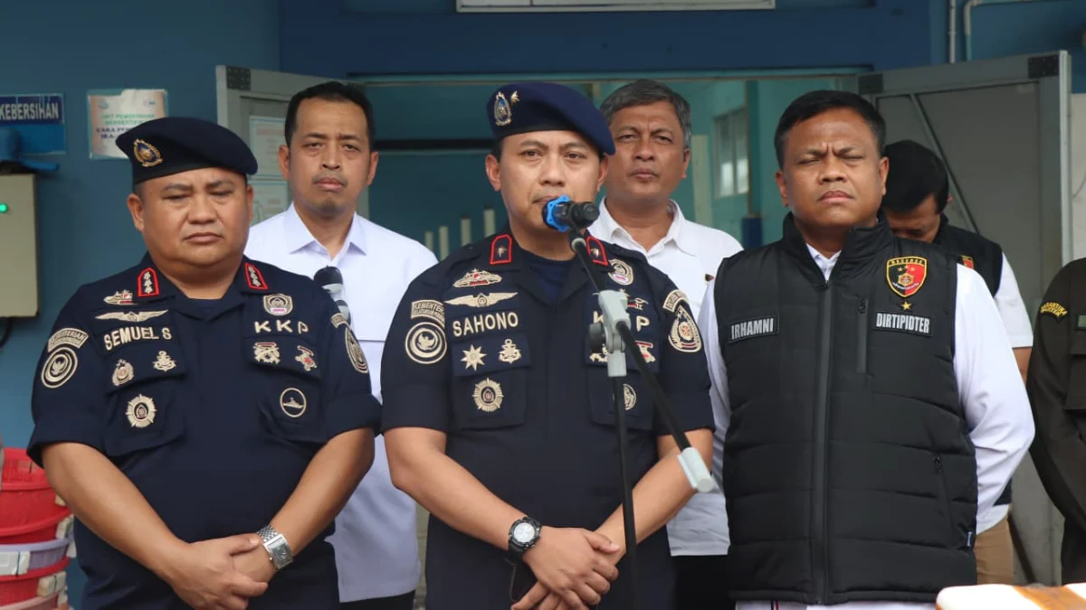 Benih lobster putih di kotak styrofoam di dalam ruangan BPBL Batam