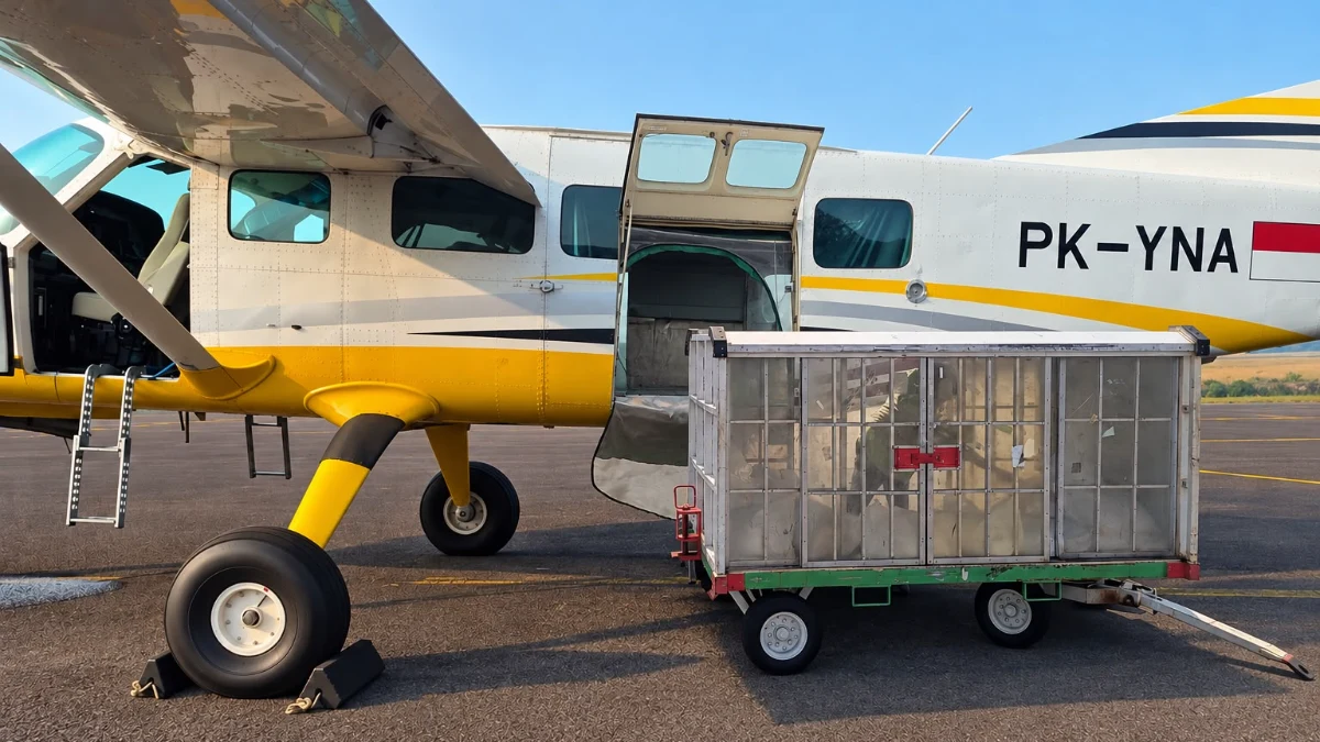 Pesawat Cessna menyemai awan di atas Batam untuk meningkatkan hujan