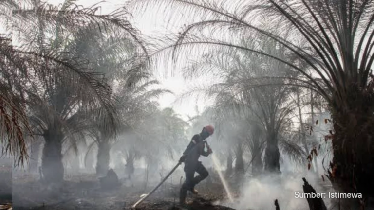 M Edy Afrizal berbicara di depan kamera tentang pemadaman Karhutla di Riau