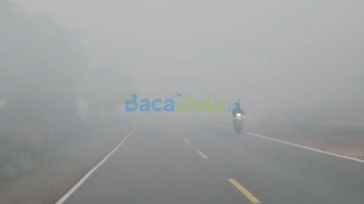 Kabut asap tebal menutupi jalan menuju Tanjung Uban di Bintan