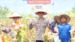 Kapolda Kepri Suhendri memimpin panen jagung pipil bersama petani di Sijantung