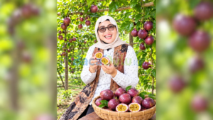 Misni memetik buah markisa di pekarangan rumah Ady, tersenyum