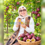 Misni memetik buah markisa di pekarangan rumah Ady, tersenyum