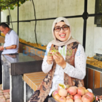Misni picking ripe passion fruit in Ady Indra Pawennari's garden, Tanjungpinang